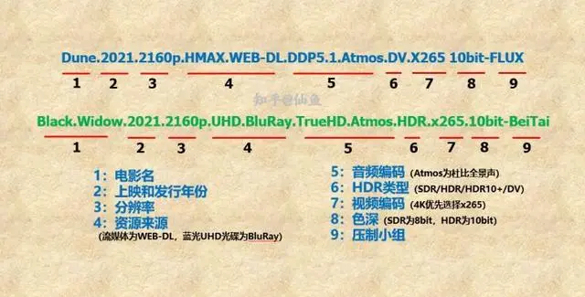电影视频格式有哪些?一文带你了解有关影视片源、版本等类型的区别